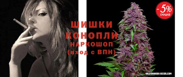 стафф Богородицк