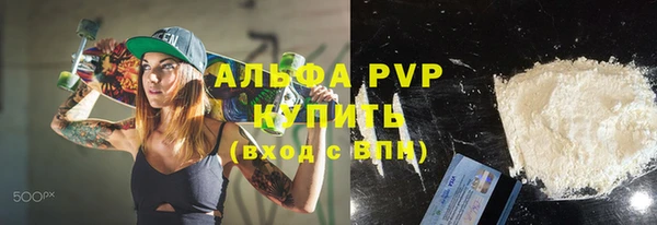стаф Богданович