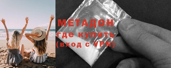 стаф Богданович