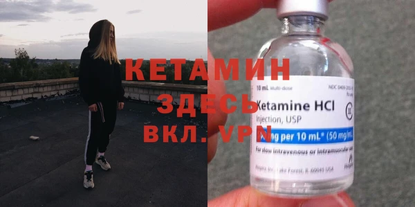 стаф Богданович