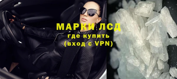 стаф Богданович