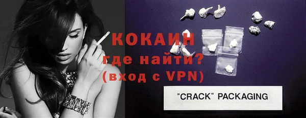 стаф Богданович