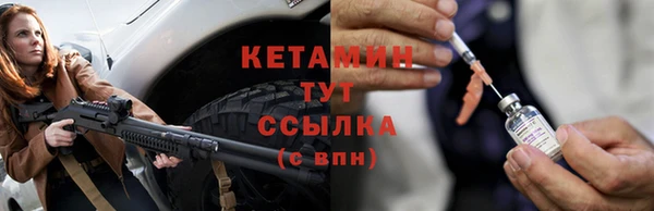 стаф Богданович