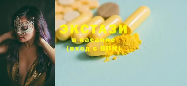стаф Богданович