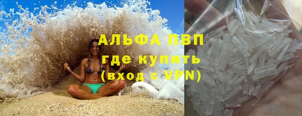 стаф Богданович