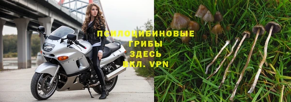 бошки Богородск
