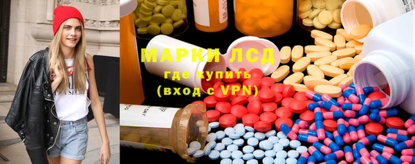 стаф Богданович