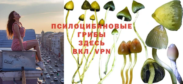 бошки Богородск