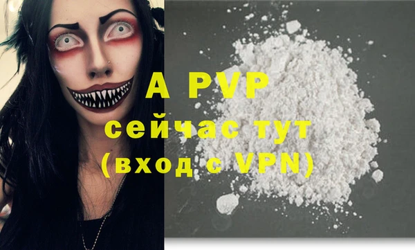 стаф Богданович