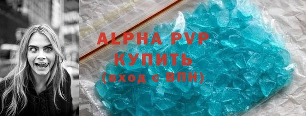 стаф Богданович