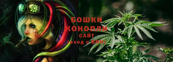 стаф Богданович