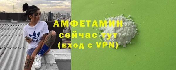 стаф Богданович